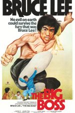 دانلود فیلم The Big Boss 1971 دانلود فیلم The Big Boss 1971