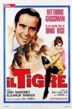 دانلود فیلم The Tiger and the Pussycat 1967 دانلود فیلم The Tiger and the Pussycat 1967