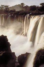 دانلود فیلم Empire of the Desert Ants 2011