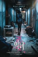 دانلود دوبله فارسی فیلم The Villainess 2017
