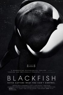 دانلود دوبله فارسی فیلم Blackfish 2013 دانلود دوبله فارسی فیلم Blackfish 2013