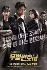 دانلود سریال Lawless Lawyer با دوبله فارسی