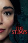 دانلود فیلم The Strays 2023 با زیرنویس چسبیده