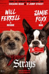 دانلود فیلم Strays 2023 با زیرنویس چسبیده دانلود فیلم Strays 2023 با زیرنویس چسبیده