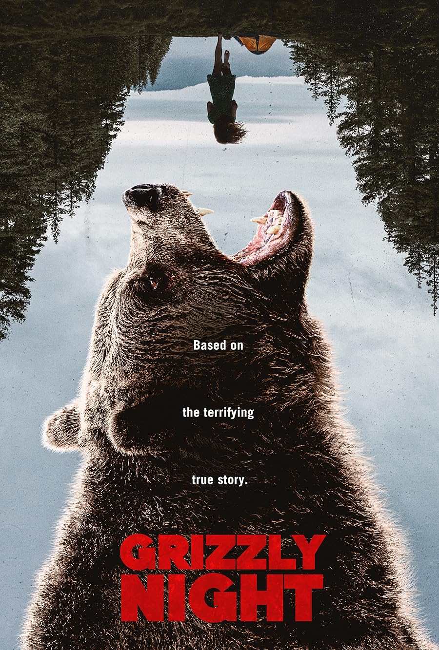 دانلود فیلم Grizzly Night 2026 با زیرنویس فارسی چسبیده دانلود فیلم Grizzly Night 2026 با زیرنویس فارسی چسبیده